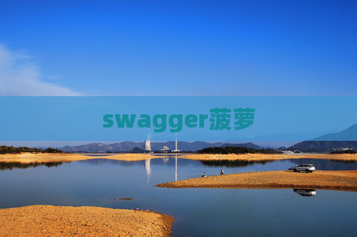swagger菠萝
